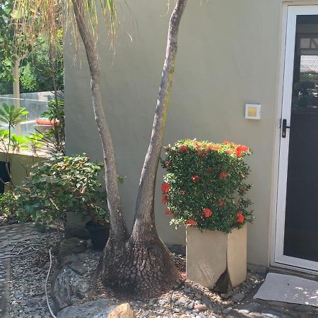 Beachfront Dolphin Cabin Oak Beach Bagian luar foto