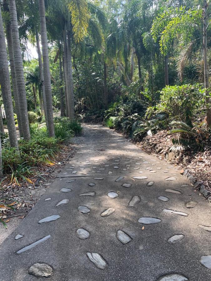 Beachfront Dolphin Cabin Oak Beach Bagian luar foto