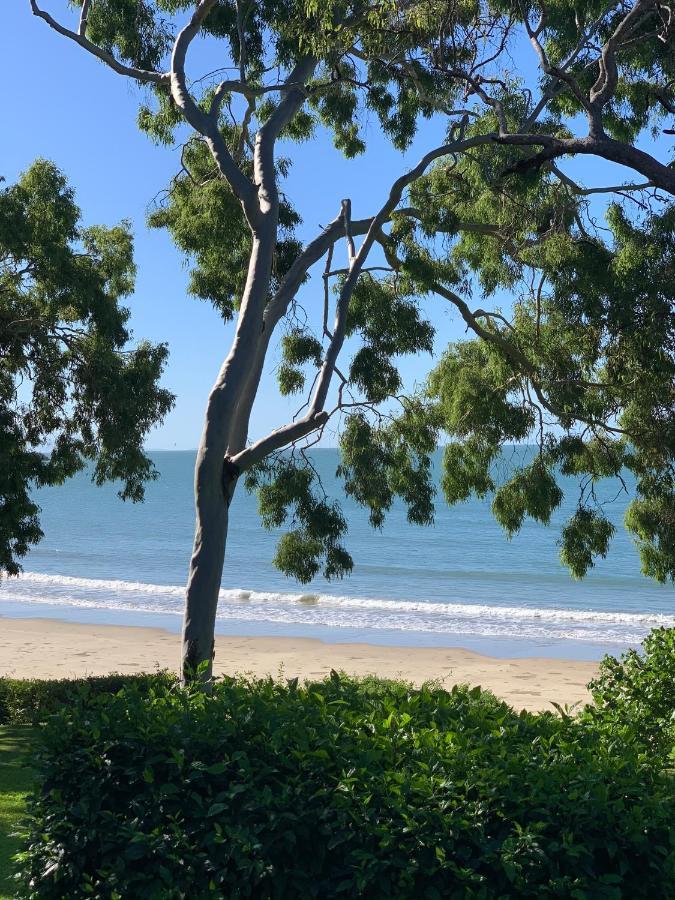 Beachfront Dolphin Cabin Oak Beach Bagian luar foto